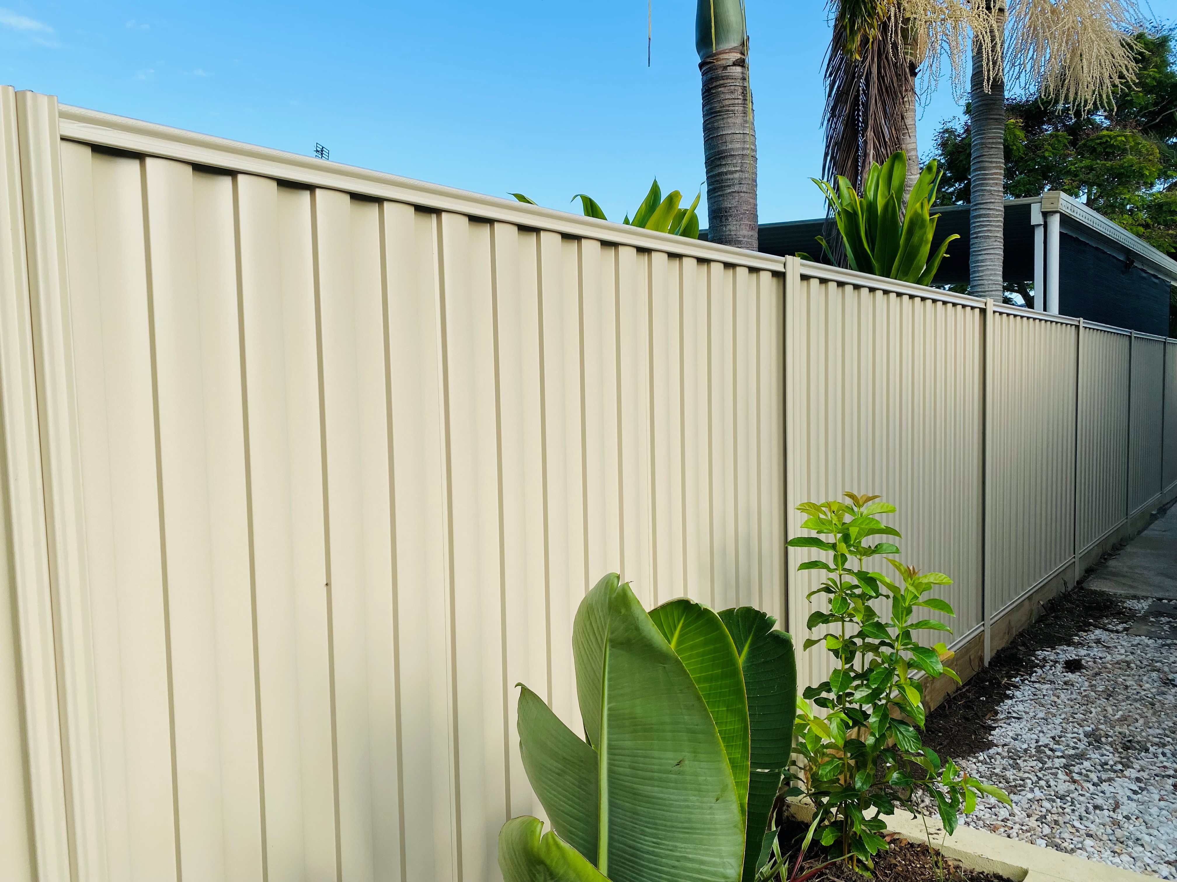 Colorbond Fence