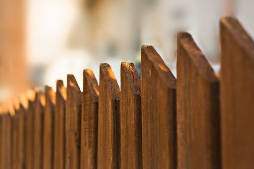 Timber Fence